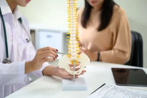 Doctor explaining spinal injury using a model of the human spine during a medical consultation with a patient.